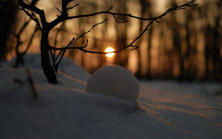 nature, Landscape, Winter, Snow, Trees, Branch, Snowball, Sun, Depth Of Field HD Wallpaper Desktop Background