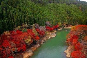 fall, River, Forest, Japan, Red, Green, Leaves, Trees, Colorful, Nature, Landscape, Hill, Boat