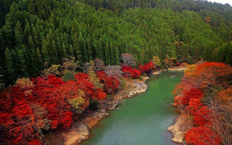 fall, River, Forest, Japan, Red, Green, Leaves, Trees, Colorful, Nature, Landscape, Hill, Boat HD Wallpaper Desktop Background