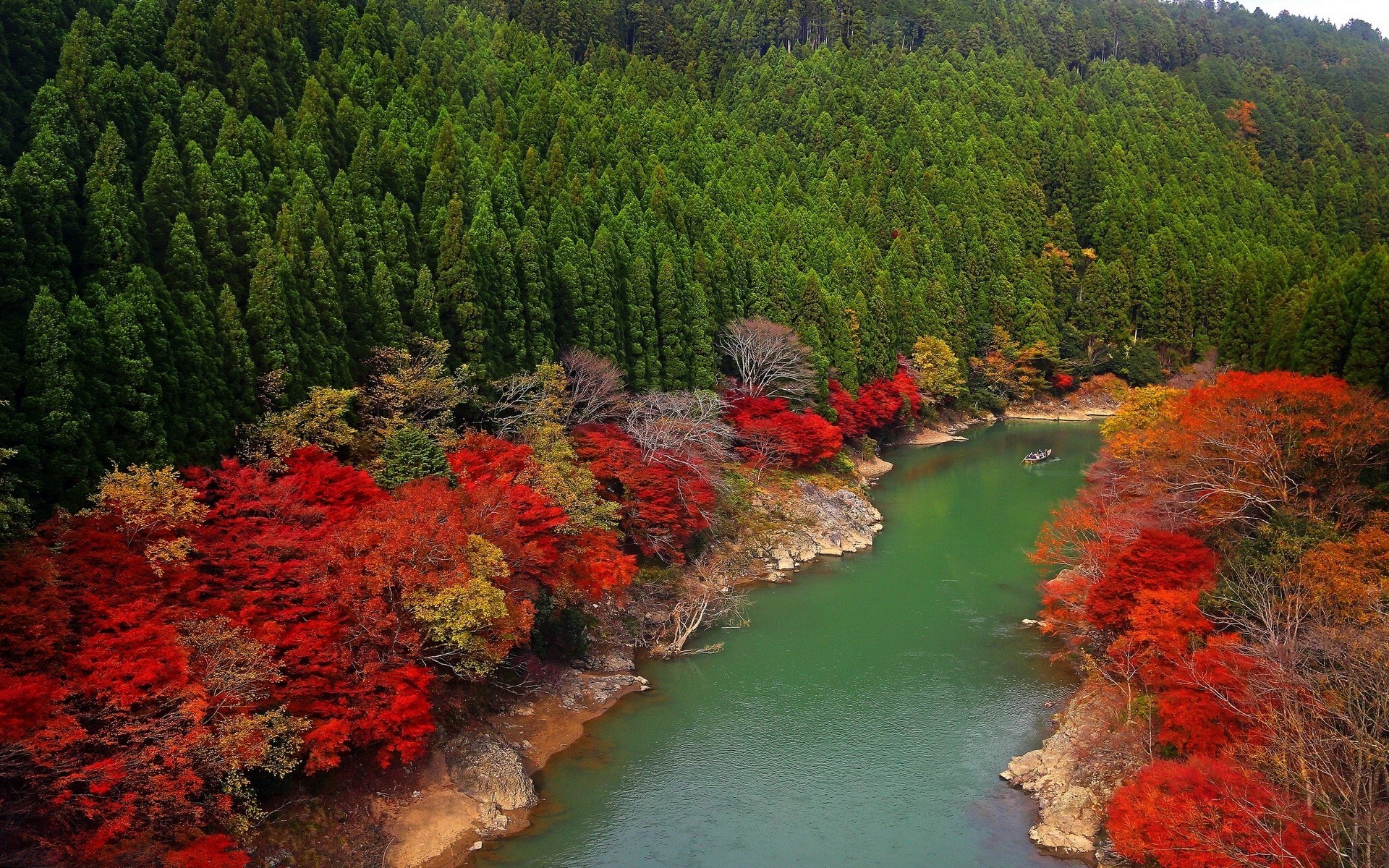 fall, River, Forest, Japan, Red, Green, Leaves, Trees, Colorful, Nature, Landscape, Hill, Boat Wallpaper