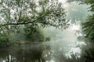 nature, Landscape, River, Mist, Water, Reflection, Trees, Morning, Daylight, Shrubs, Atmosphere