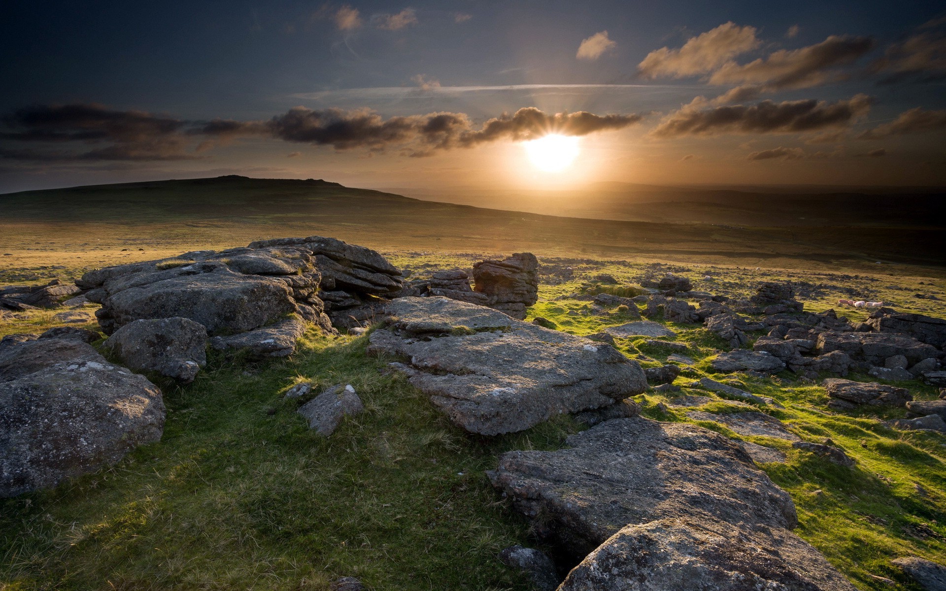 nature, Landscape, Sunset, Hill, Grass, Sheep, UK, Scotland, Clouds, Stones, Sky Wallpaper