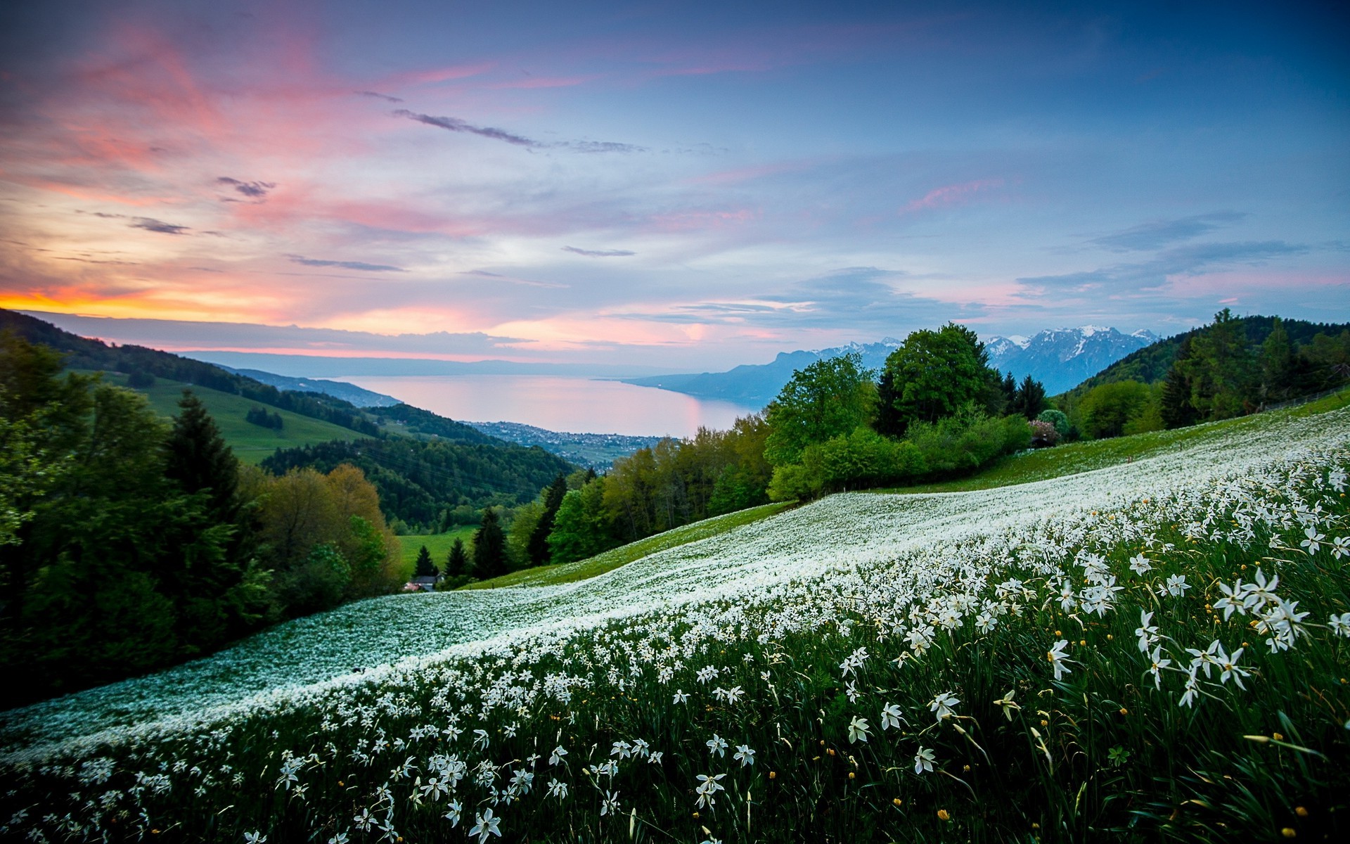 nature, Landscape, Field, Trees, White Flowers, Spring, Sunrise, Mountain, Sky, Bay, Sea, Shrubs Wallpaper