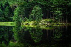 nature, Landscape, Water, Lake, Forest, Grass, Hill, Spring, Reflection, Green, Trees