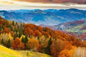 nature, Landscape, Trees, Forest, Hill, Mountain, Sky, Clouds, Colorful, Fall, Leaves, Valley