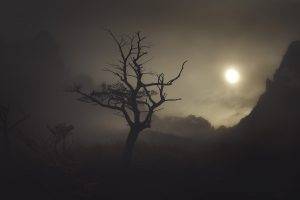 nature, Landscape, Mist, Shadow, Trees, Mountain, Sunlight, Dark, Patagonia, Chile, Shrubs, Atmosphere
