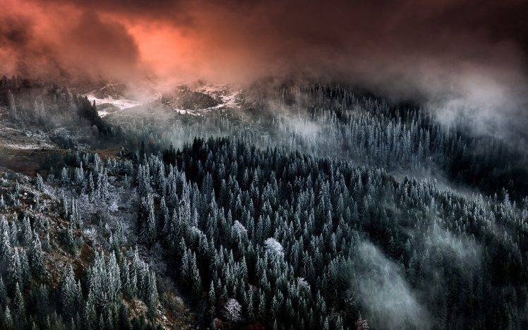 nature, Landscape, Mountain, Forest, Clouds, Mist, Snow, Trees, Sunrise HD Wallpaper Desktop Background