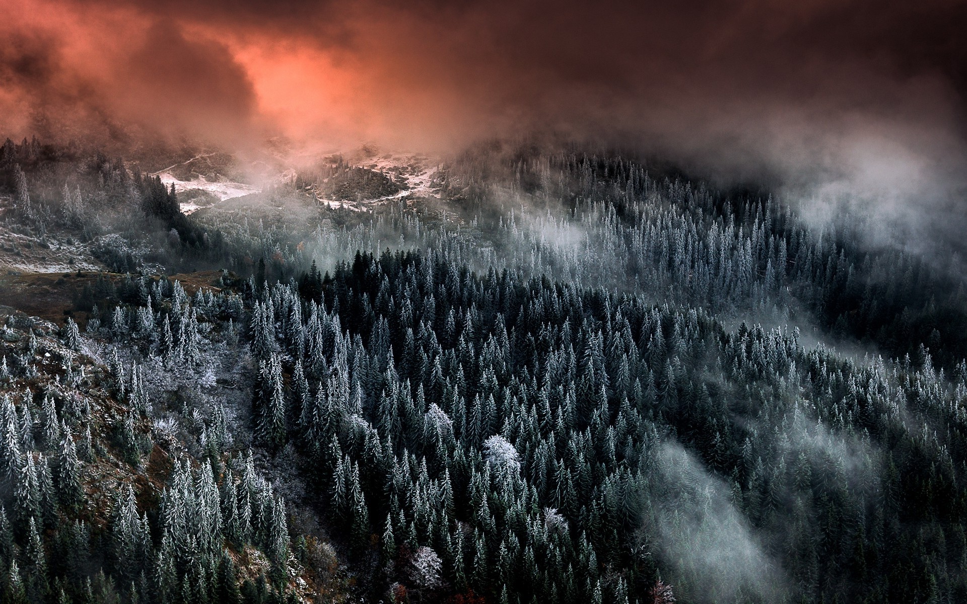 nature, Landscape, Mountain, Forest, Clouds, Mist, Snow, Trees, Sunrise Wallpaper