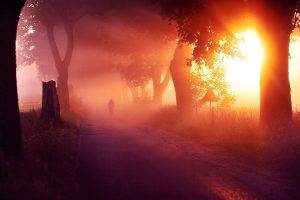 nature, Sunset, Mist, Landscape, Trees, Sun Rays, Grass, Road, Cycling, Atmosphere
