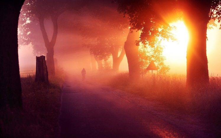 nature, Sunset, Mist, Landscape, Trees, Sun Rays, Grass, Road, Cycling, Atmosphere HD Wallpaper Desktop Background