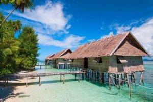 nature, Water, Cabin, Scuba Diving, Beach, Palm Trees, Landscape, Papua New Guinea, Sea, Tropical, Island, Clouds