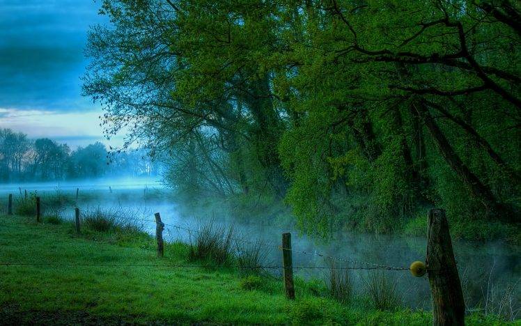 nature, Landscape, Mist, River, Morning, Grass, Trees, Barbed Wire, Green, Sunrise HD Wallpaper Desktop Background