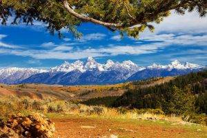 nature, Landscape, Mountain, Trees, Snowy Peak, Grand Teton National Park, Clouds, Forest, Dry Grass
