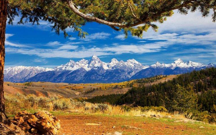 nature, Landscape, Mountain, Trees, Snowy Peak, Grand Teton National Park, Clouds, Forest, Dry Grass HD Wallpaper Desktop Background