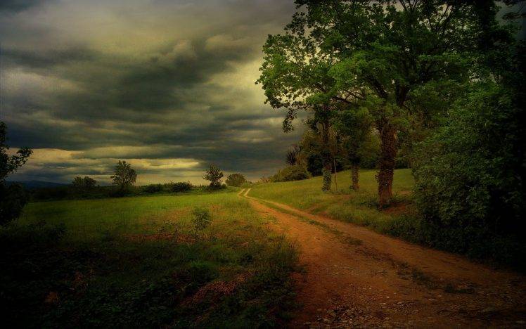 nature, Landscape, Dirt Road, Clouds, Trees, Grass, Shrubs HD Wallpaper Desktop Background
