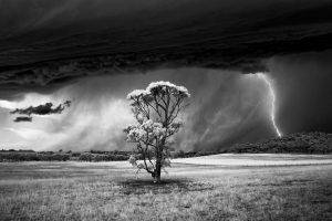 nature, Landscape, Trees, Field, Storm, Lightning, Supercell (nature), Clouds, Hill, Wind, Monochrome, Panoramas