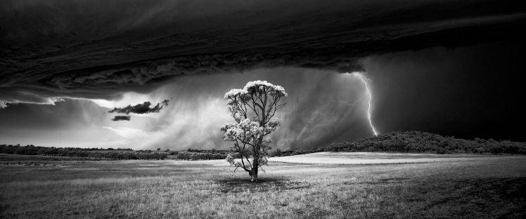 nature, Landscape, Trees, Field, Storm, Lightning, Supercell (nature), Clouds, Hill, Wind, Monochrome, Panoramas HD Wallpaper Desktop Background