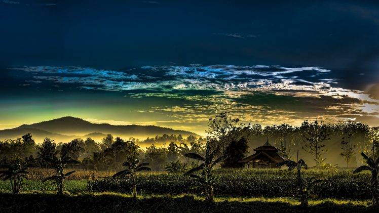 nature, Landscape, Mist, Mountain, Sunrise, Trees, House, Thailand, Palm Trees, Clouds, Sky HD Wallpaper Desktop Background