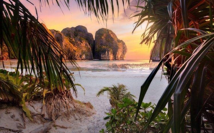 nature, Landscape, Beach, Sunset, Palm Trees, Shrubs, Rock, Cliff, Sea, Sand, Leaves, Philippines, Tropical, Island HD Wallpaper Desktop Background