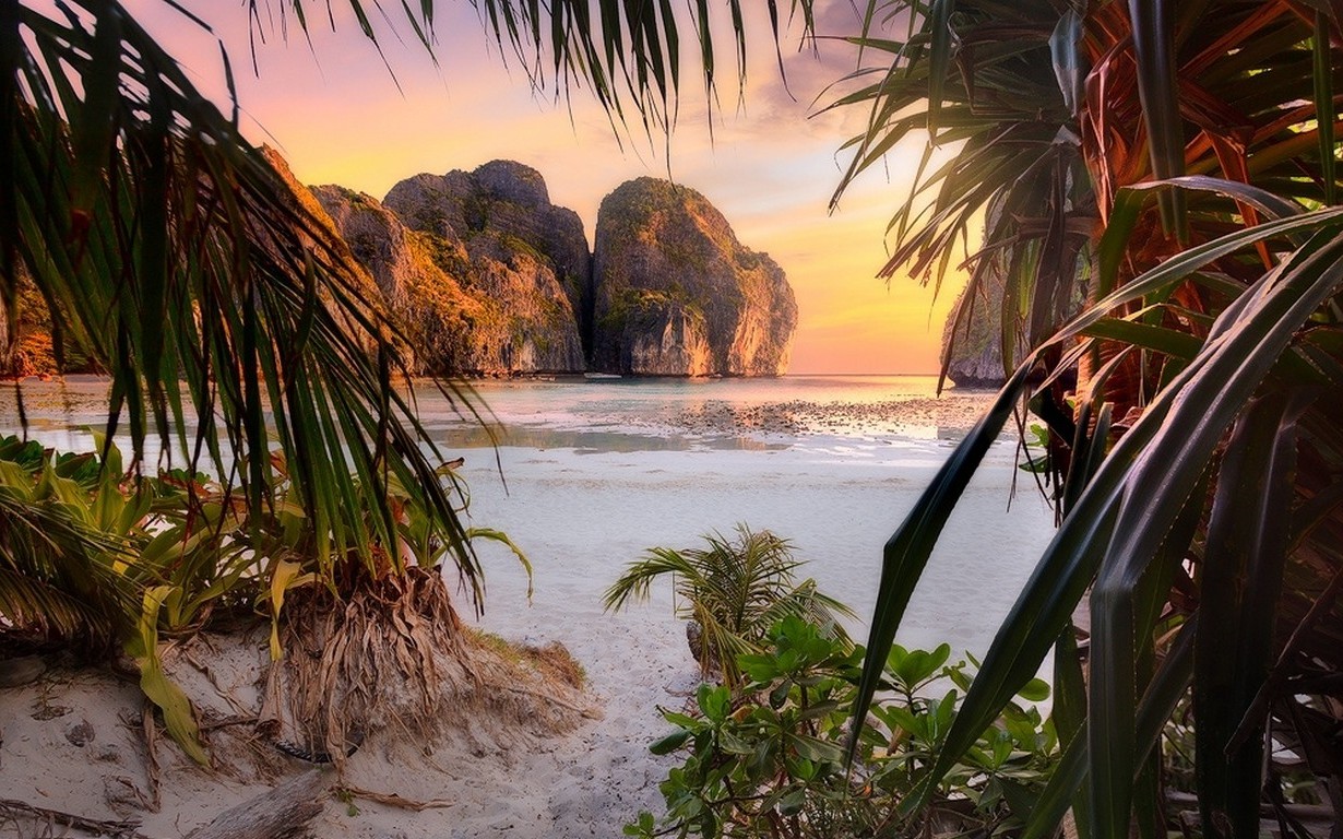 nature, Landscape, Beach, Sunset, Palm Trees, Shrubs, Rock, Cliff, Sea, Sand, Leaves, Philippines, Tropical, Island Wallpaper