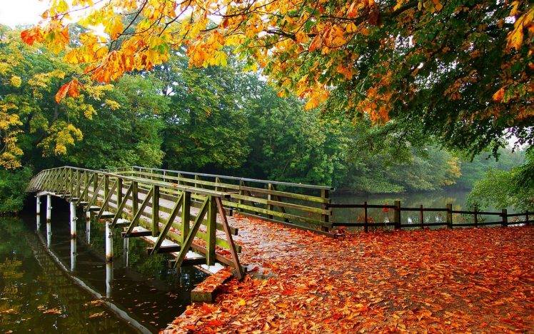 nature, Landscape, Leaves, Fall, Trees, Bridge, Walkway, River, Architecture, Overcast HD Wallpaper Desktop Background