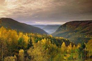 nature, Landscape, Mountain, Forest, Clouds, Mist, Fall, Yellow, Trees, Sky, Overcast