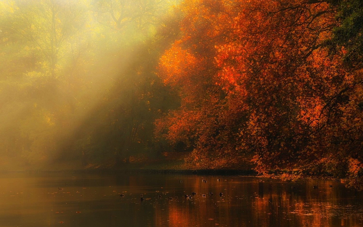 nature, Landscape, River, Forest, Fall, Mist, Sun Rays, Trees, Atmosphere, Sunlight, Leaves Wallpaper