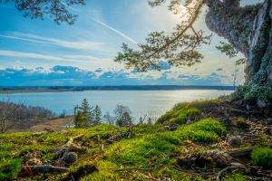 nature, Landscape, Summer, River, Trees, Grass, Clouds, Sunlight, Sky, Sweden