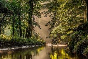 nature, Landscape, Sun Rays, River, Forest, Mist, Water, Reflection, Netherlands, Trees, Shrubs