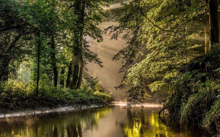 nature, Landscape, Sun Rays, River, Forest, Mist, Water, Reflection, Netherlands, Trees, Shrubs HD Wallpaper Desktop Background