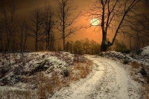 winter, Sun, Norway, Dirt Road, Trees, Nature, Landscape, Dry Grass, Snow, Sunlight, Mist