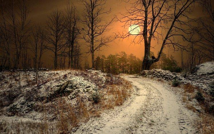 winter, Sun, Norway, Dirt Road, Trees, Nature, Landscape, Dry Grass, Snow, Sunlight, Mist HD Wallpaper Desktop Background