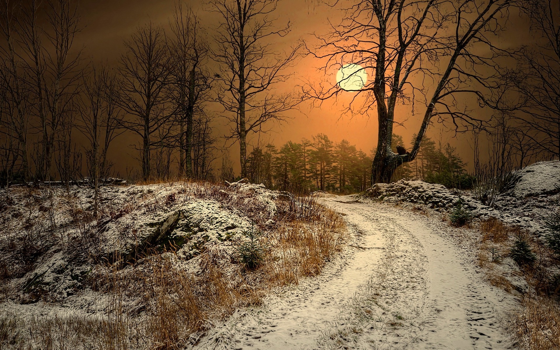 winter, Sun, Norway, Dirt Road, Trees, Nature, Landscape, Dry Grass, Snow, Sunlight, Mist Wallpaper