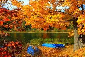 lake, Boat, Trees, Fall, Grass, Yellow, Red, Leaves, Nature, Forest, Landscape, Reeds