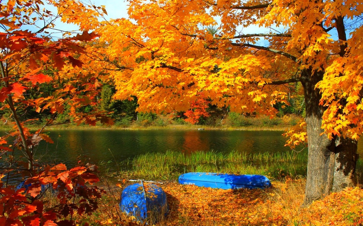 lake, Boat, Trees, Fall, Grass, Yellow, Red, Leaves, Nature, Forest, Landscape, Reeds Wallpaper