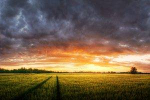 panoramas, Sunset, Nature, Sky, Clouds, Field, Landscape, Trees, Colorful