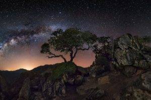 nature, Landscape, Mountain, Trees, Starry Night, Milky Way, Galaxy, Lights, Long Exposure
