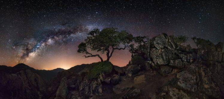 nature, Landscape, Mountain, Trees, Starry Night, Milky Way, Galaxy, Lights, Long Exposure HD Wallpaper Desktop Background
