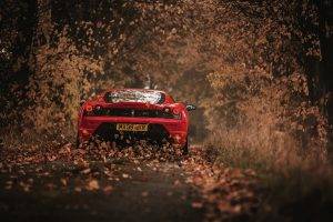 car, Ferrari, Leaves, Road