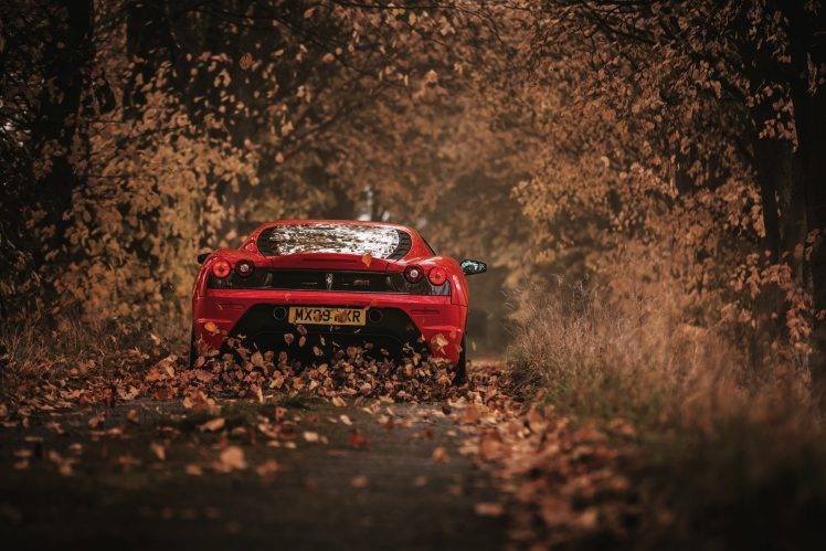 car, Ferrari, Leaves, Road HD Wallpaper Desktop Background