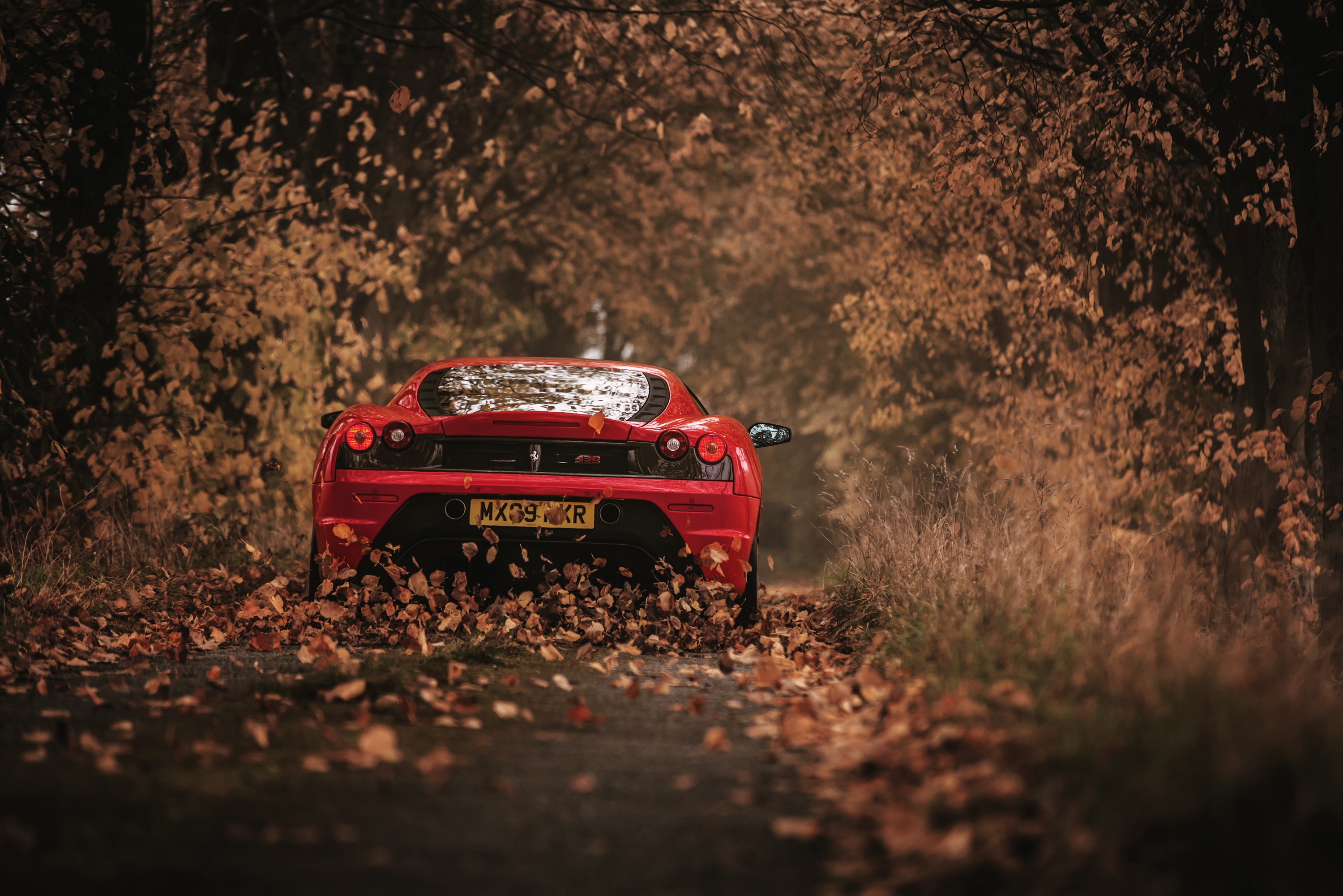 car, Ferrari, Leaves, Road Wallpaper