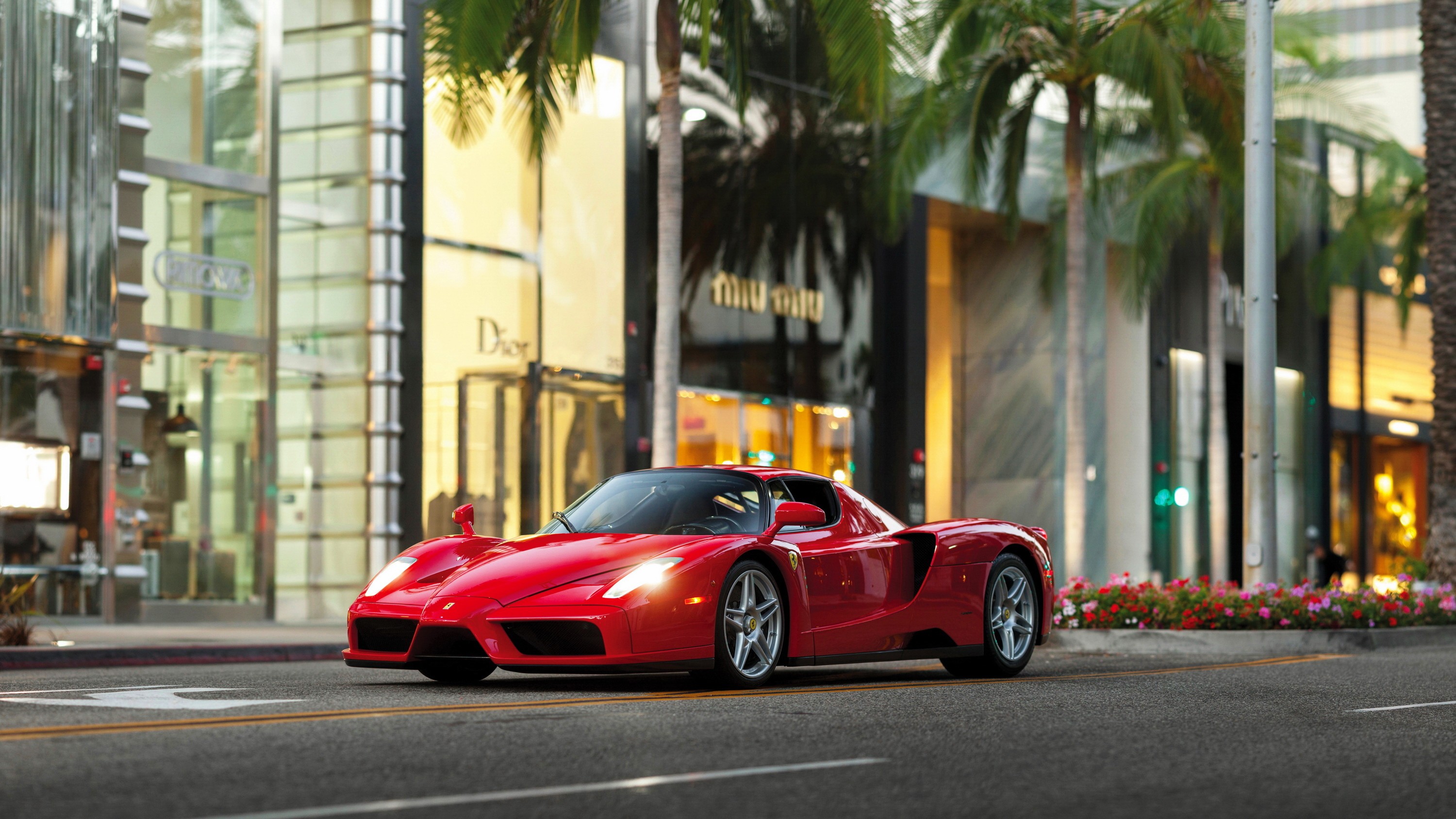 car, Street, Ferrari, Palm Trees, Ferrari Enzo Wallpaper