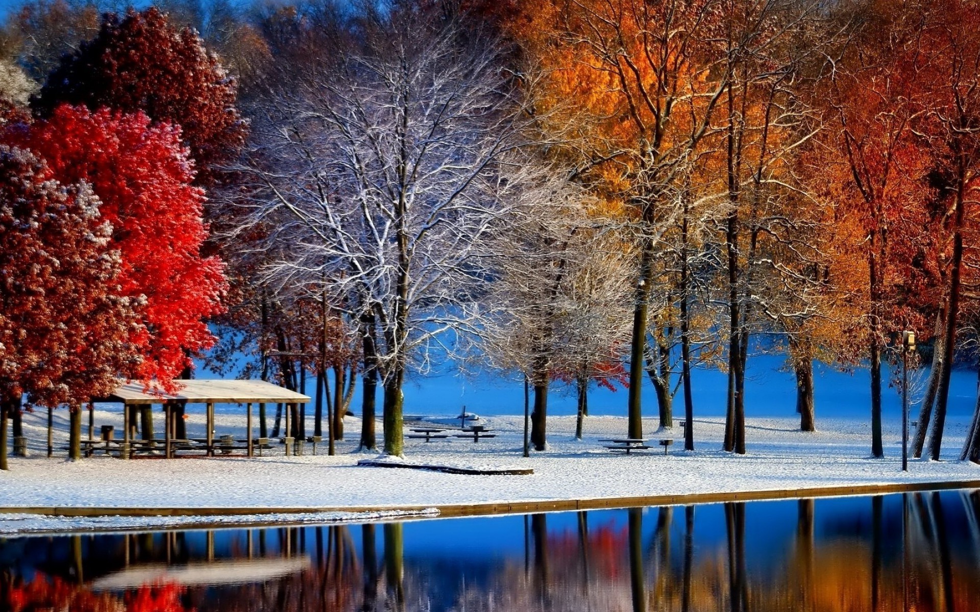 nature, Landscape, Fall, Snow, Trees, Colorful, Water, Bench Wallpaper