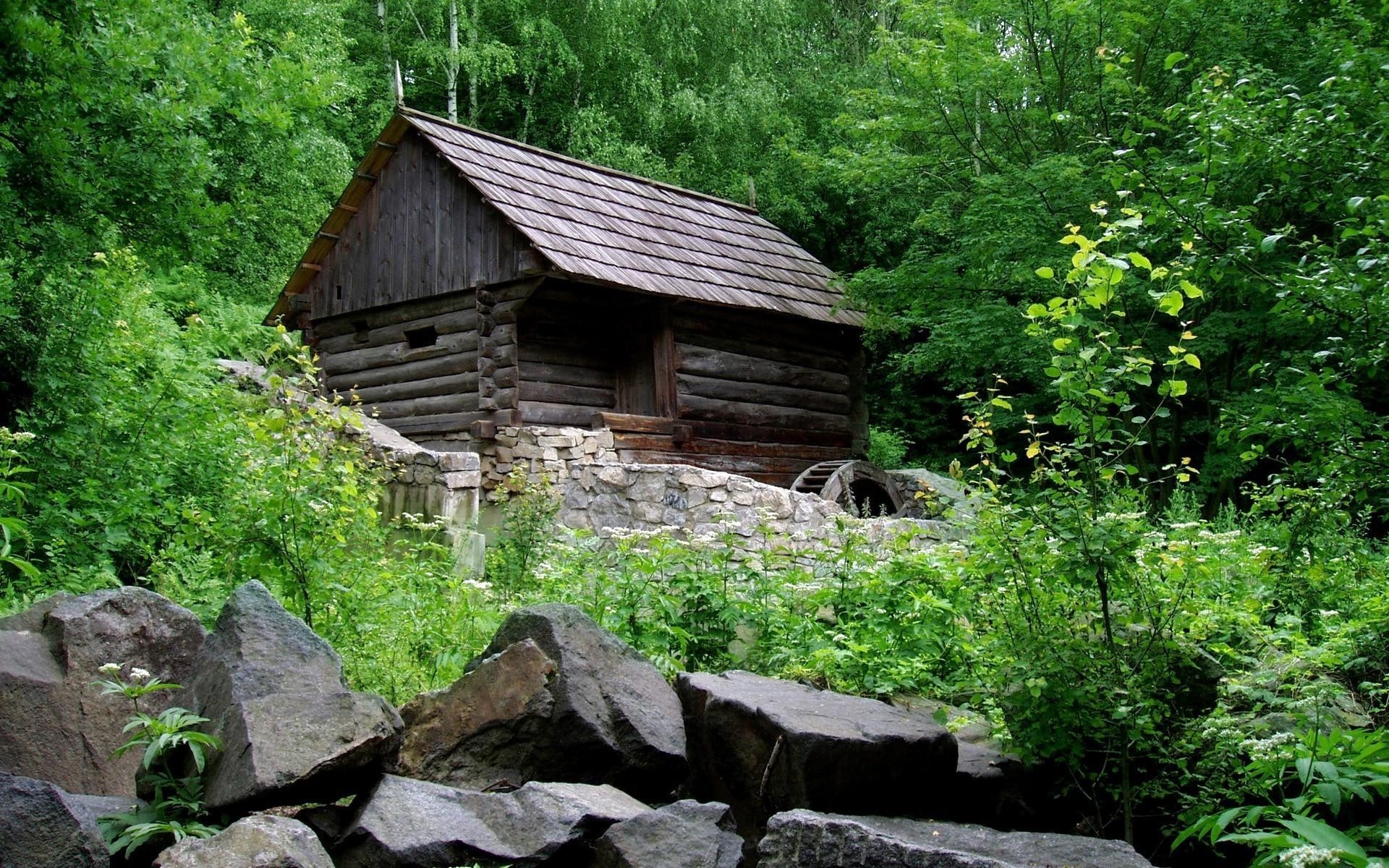 nature, landscape, cabin, forest, mill, stones, spring