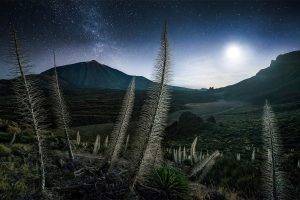 landscape, Nature, Mountain, Starry Night, Moonlight, Shrubs, Milky Way, Spain, Tenerife, Max Rive