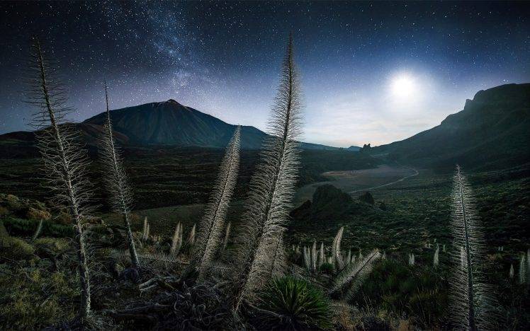 landscape, Nature, Mountain, Starry Night, Moonlight, Shrubs, Milky Way, Spain, Tenerife, Max Rive HD Wallpaper Desktop Background