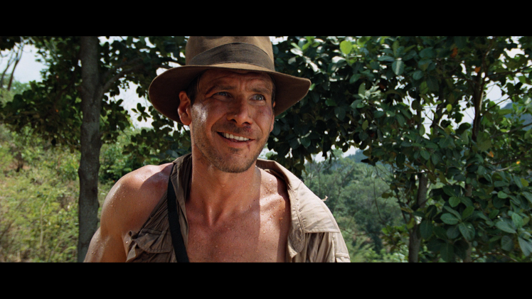 Indiana Jones And The Temple Of Doom, Indiana Jones, Harrison Ford HD Wallpaper Desktop Background