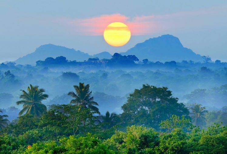 nature, Landscape, Mist, Sunset, Mountain, Blue, Forest, Palm Trees, Tropical HD Wallpaper Desktop Background
