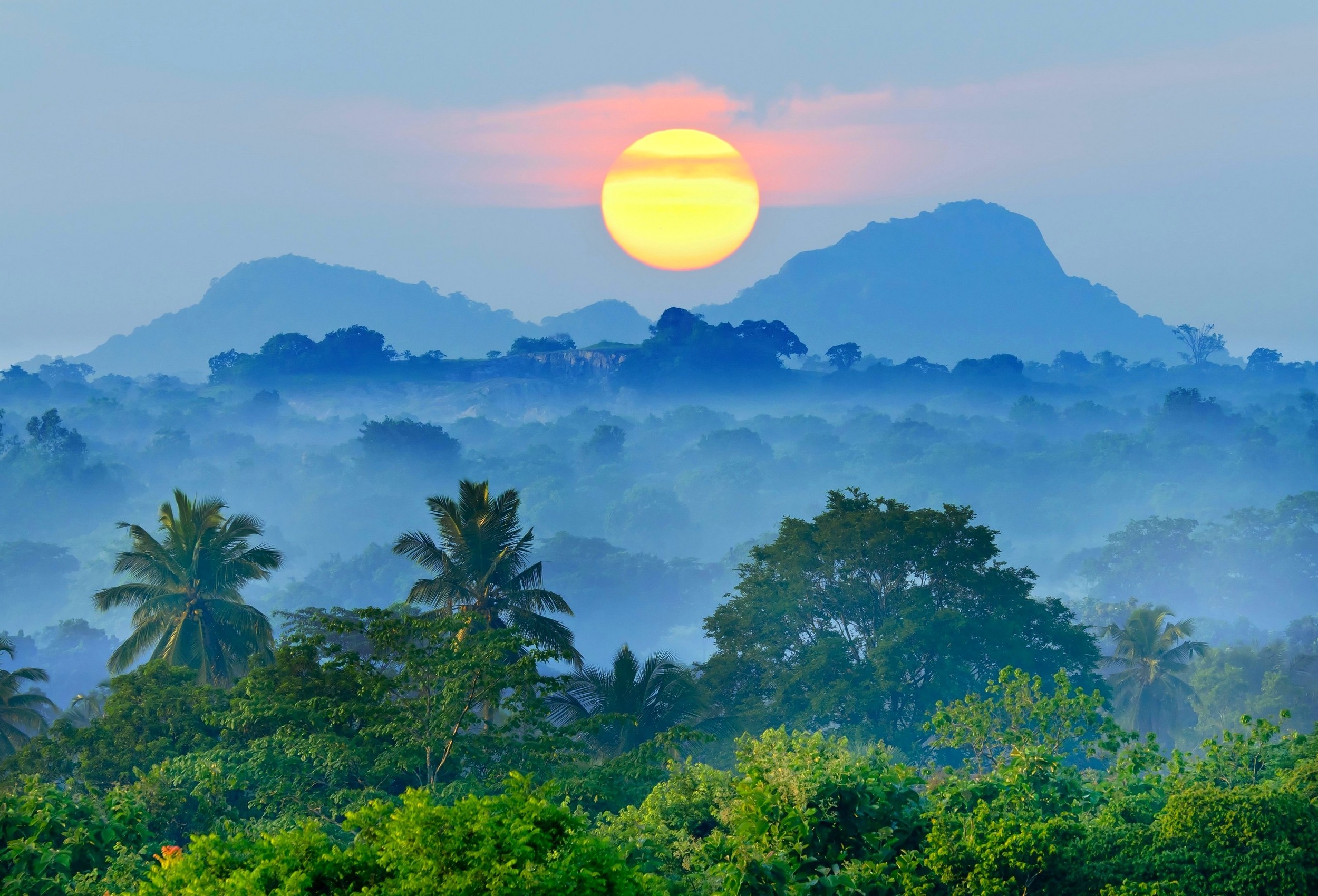 nature, Landscape, Mist, Sunset, Mountain, Blue, Forest, Palm Trees, Tropical Wallpaper