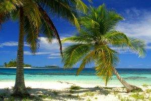 nature, Landscape, Palm Trees, Beach, Island, Sea, Tropical, Summer, Panama